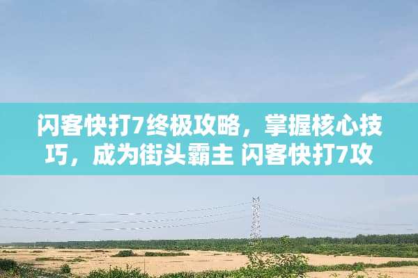 闪客快打7终极攻略，掌握核心技巧，成为街头霸主 闪客快打7攻略