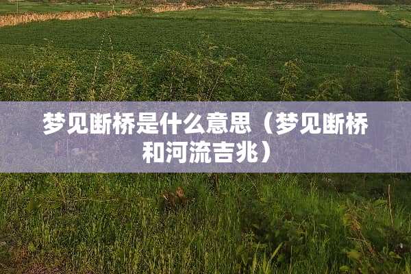 梦见断桥是什么意思(梦见断桥和河流吉兆) 梦见断桥是什么意思(梦见断桥和河流吉兆)