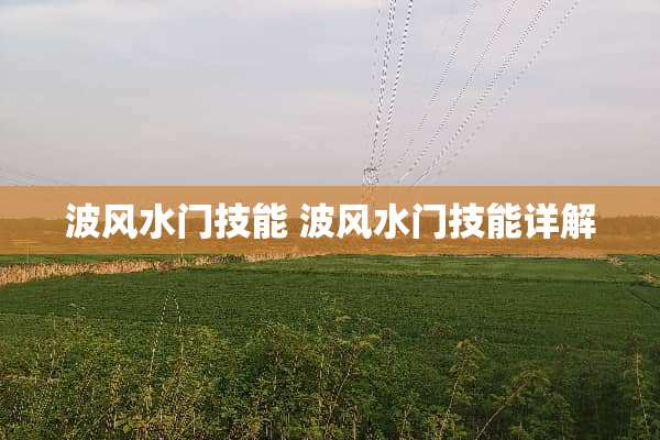 波风水门技能 波风水门技能详解