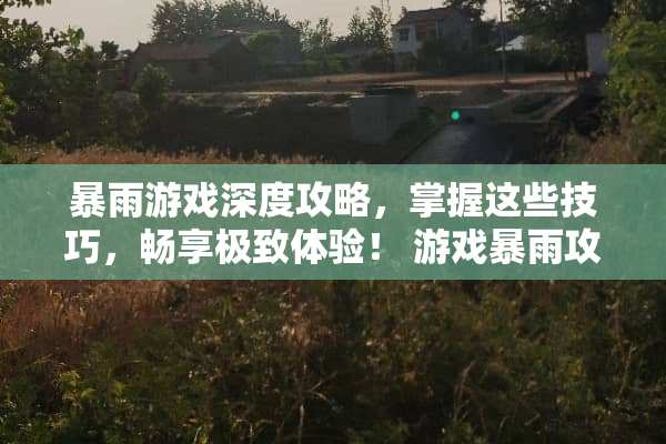 暴雨游戏深度攻略，掌握这些技巧，畅享极致体验！ 游戏暴雨攻略
