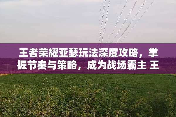 王者荣耀亚瑟玩法深度攻略，掌握节奏与策略，成为战场霸主 王者荣耀亚瑟玩法攻略