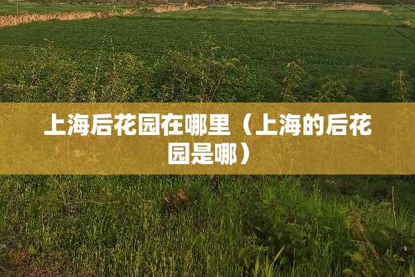 上海后花园在哪里(上海的后花园是哪)
