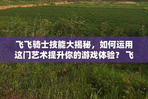 飞飞骑士技能大揭秘，如何运用这门艺术提升你的游戏体验？ 飞飞骑士技能