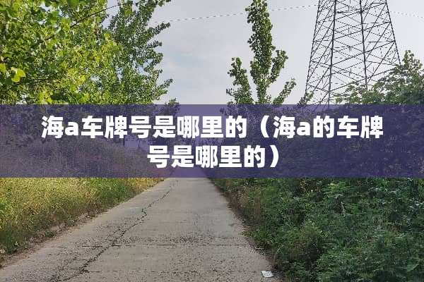 海a车牌号是哪里的(海a的车牌号是哪里的)