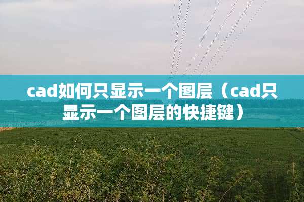 cad如何只显示一个图层(cad只显示一个图层的快捷键) cad如何只显示一个图层(cad只显示一个图层的快捷键)