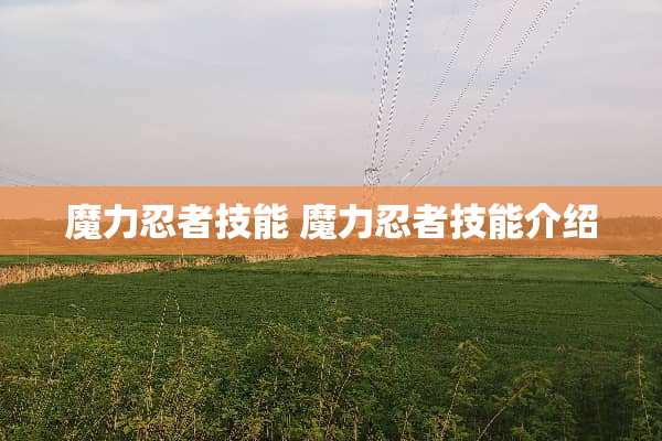 魔力忍者技能 魔力忍者技能介绍