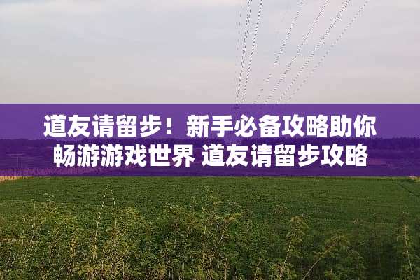 道友请留步！新手必备攻略助你畅游游戏世界 道友请留步攻略