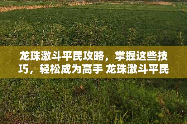 龙珠激斗平民攻略,掌握这些技巧,轻松成为高手 龙珠激斗平民攻略 龙珠激斗平民攻略,掌握这些技巧,轻松成为高手 龙珠激斗平民攻略