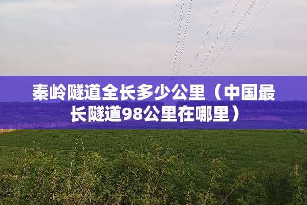 秦岭隧道全长多少公里（中国最长隧道98公里在哪里）