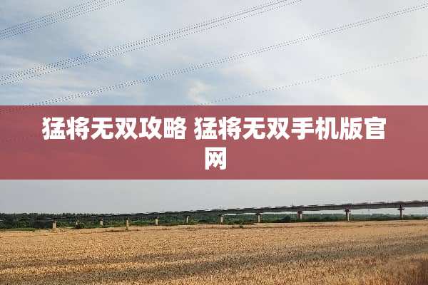 猛将无双攻略 猛将无双手机版官网 猛将无双攻略 猛将无双手机版官网