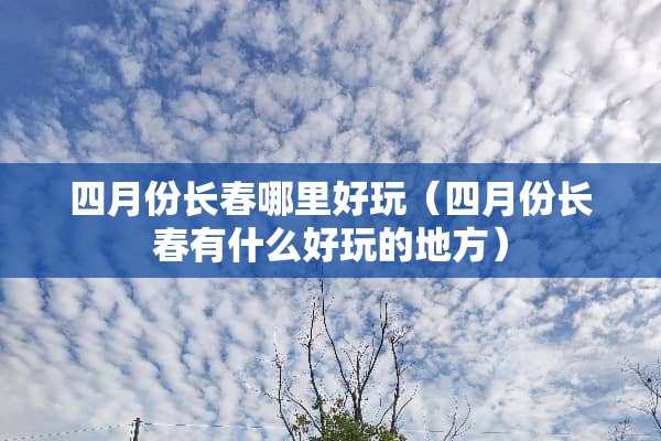 四月份长春哪里好玩(四月份长春有什么好玩的地方)