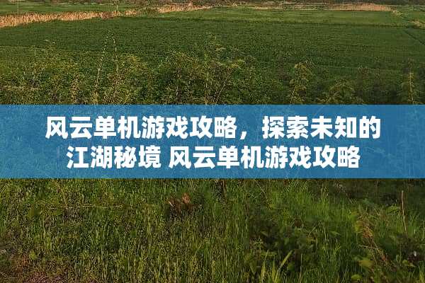 风云单机游戏攻略,探索未知的江湖秘境 风云单机游戏攻略 风云单机游戏攻略,探索未知的江湖秘境 风云单机游戏攻略