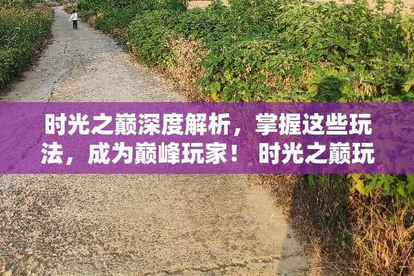 时光之巅深度解析,掌握这些玩法,成为巅峰玩家! 时光之巅玩法 时光之巅深度解析,掌握这些玩法,成为巅峰玩家! 时光之巅玩法