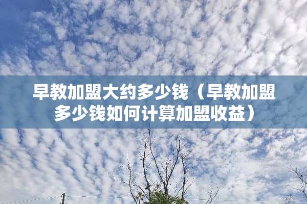 早教加盟大约多少钱(早教加盟多少钱如何计算加盟收益)