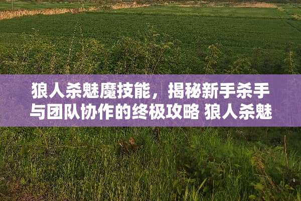 狼人杀魅魔技能，揭秘新手**与团队协作的终极攻略 狼人杀魅魔技能