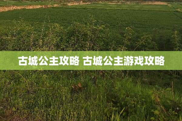 古城公主攻略 古城公主游戏攻略