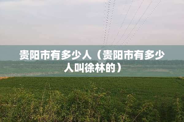 贵阳市有多少人(贵阳市有多少人叫徐林的) 贵阳市有多少人(贵阳市有多少人叫徐林的)