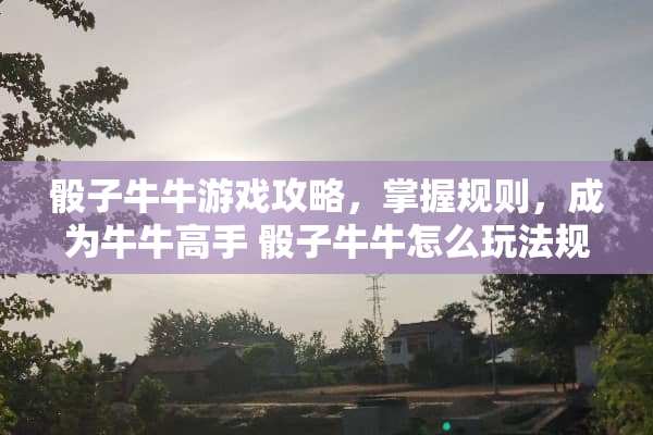 ****游戏攻略，掌握规则，成为**高手****怎么玩法规则