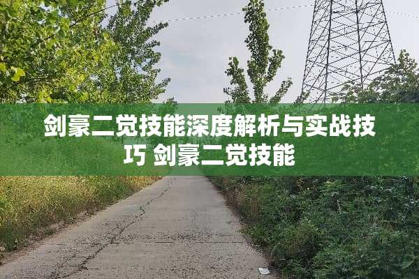 剑豪二觉技能深度解析与实战技巧 剑豪二觉技能 剑豪二觉技能深度解析与实战技巧 剑豪二觉技能