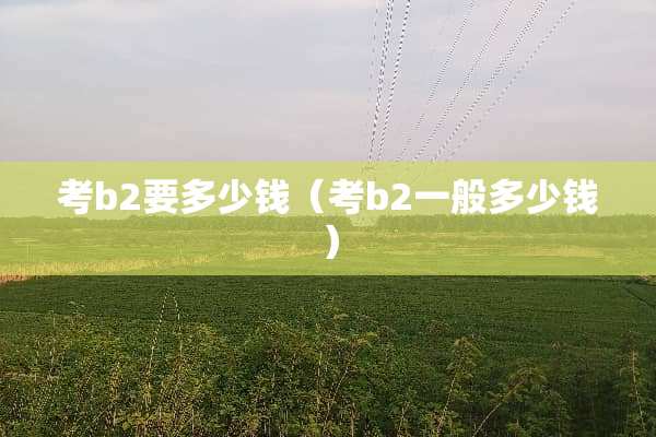 考b2要多少钱(考b2一般多少钱) 考b2要多少钱(考b2一般多少钱)
