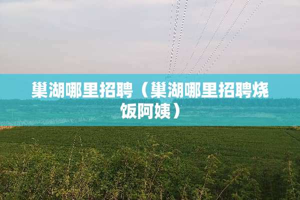 巢湖哪里招聘(巢湖哪里招聘烧饭阿姨)