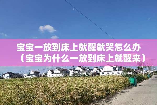 宝宝一放到床上就醒就哭怎么办(宝宝为什么一放到床上就醒来) 宝宝一放到床上就醒就哭怎么办(宝宝为什么一放到床上就醒来)