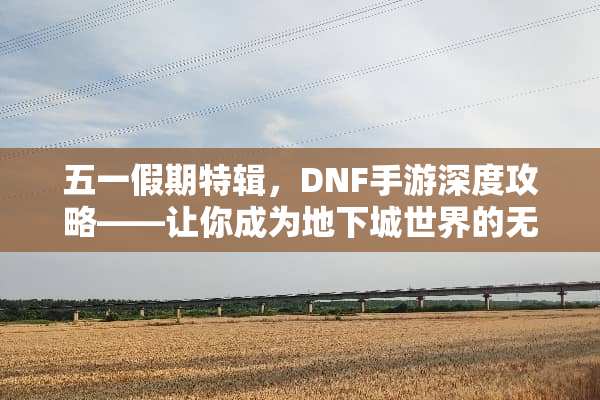 五一假期特辑,DNF手游深度攻略——让你成为**城世界的无敌王者 五一小游戏攻略dnf 五一假期特辑,DNF手游深度攻略——让你成为**城世界的无敌王者 五一小游戏攻略dnf
