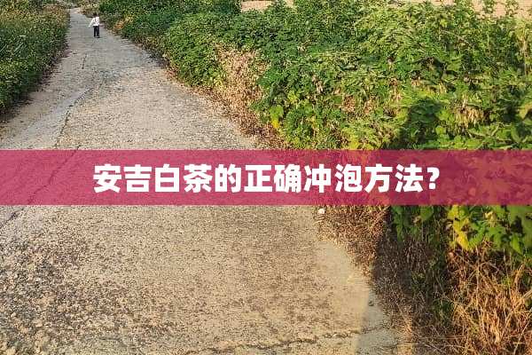 安吉白茶的正确冲泡方法？