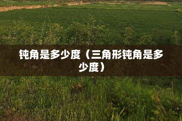 钝角是多少度(三角形钝角是多少度) 钝角是多少度(三角形钝角是多少度)