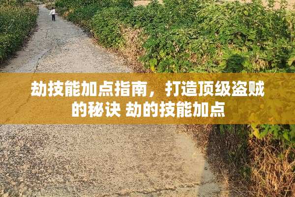 劫技能加点指南,打造**盗贼的秘诀 劫的技能加点 劫技能加点指南,打造**盗贼的秘诀 劫的技能加点