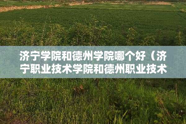 济宁学院和德州学院哪个好(济宁职业技术学院和德州职业技术学院) 济宁学院和德州学院哪个好(济宁职业技术学院和德州职业技术学院)