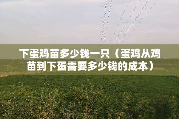 下蛋鸡苗多少钱一只（蛋鸡从鸡苗到下蛋需要多少钱的成本）