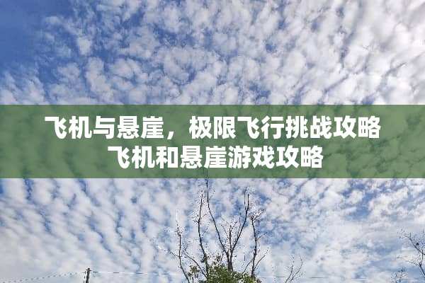 飞机与悬崖,极限飞行挑战攻略 飞机和悬崖游戏攻略 飞机与悬崖,极限飞行挑战攻略 飞机和悬崖游戏攻略