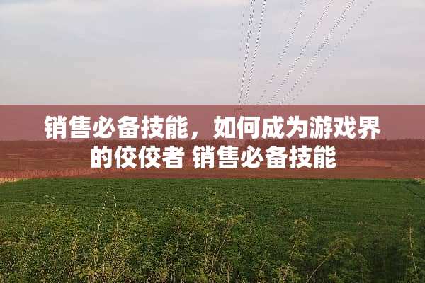 销售必备技能,如何成为游戏界的佼佼者 销售必备技能 销售必备技能,如何成为游戏界的佼佼者 销售必备技能