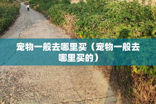 宠物一般去哪里买（宠物一般去哪里买的）