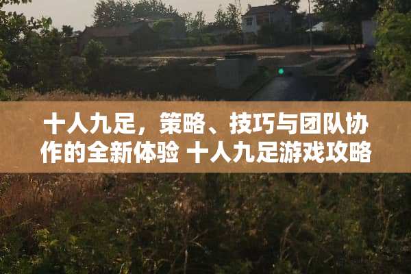 十人九足,策略、技巧与团队协作的全新体验 十人九足游戏攻略 十人九足,策略、技巧与团队协作的全新体验 十人九足游戏攻略