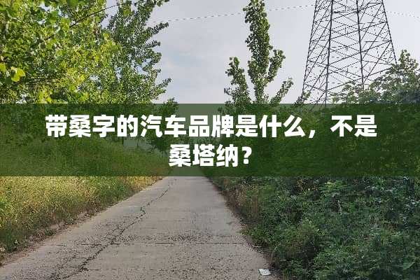 带桑字的汽车品牌是什么，不是桑塔纳？