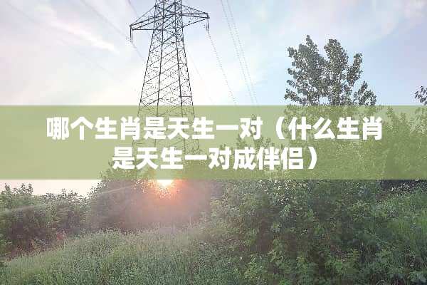 哪个生肖是天生一对(什么生肖是天生一对成伴侣) 哪个生肖是天生一对(什么生肖是天生一对成伴侣)