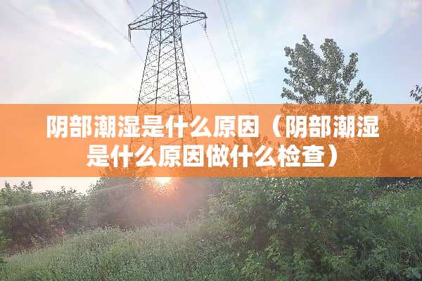 *部潮湿是什么原因(*部潮湿是什么原因做什么检查) *部潮湿是什么原因(*部潮湿是什么原因做什么检查)