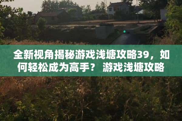 全新视角揭秘游戏浅塘攻略39,如何轻松成为高手? 游戏浅塘攻略39 全新视角揭秘游戏浅塘攻略39,如何轻松成为高手? 游戏浅塘攻略39