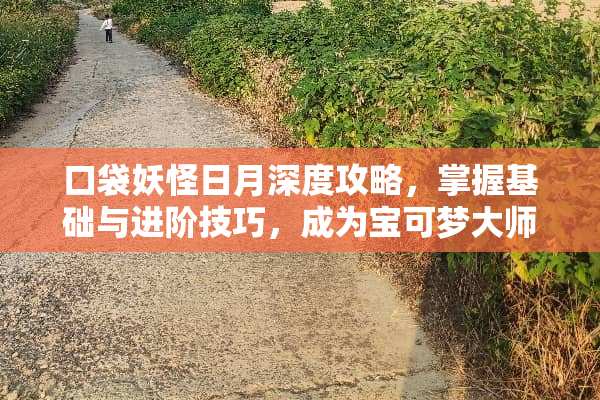 口袋妖怪日月深度攻略,掌握基础与进阶技巧,成为宝可梦大师 口袋妖怪日月攻略 口袋妖怪日月深度攻略,掌握基础与进阶技巧,成为宝可梦大师 口袋妖怪日月攻略