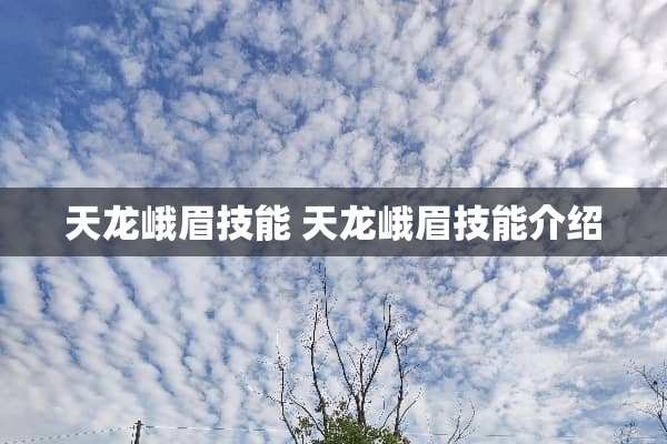 天龙峨眉技能 天龙峨眉技能介绍 天龙峨眉技能 天龙峨眉技能介绍
