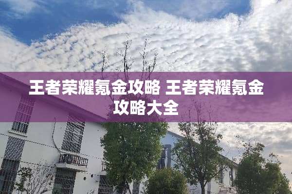 王者荣耀氪金攻略 王者荣耀氪金攻略大全 王者荣耀氪金攻略 王者荣耀氪金攻略大全