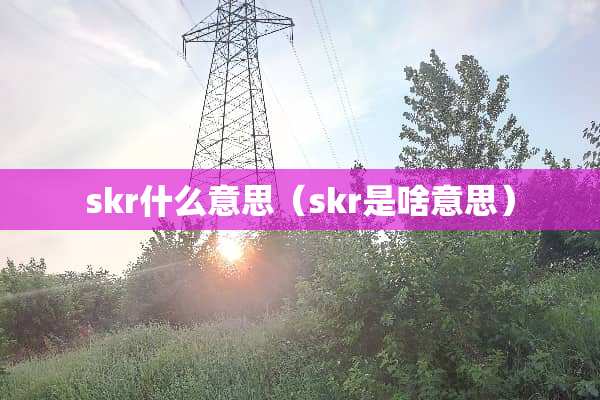 skr什么意思(skr是啥意思) skr什么意思(skr是啥意思)