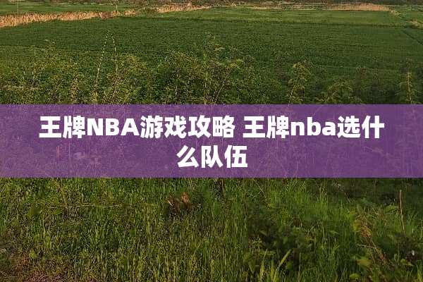 王牌NBA游戏攻略 王牌nba选什么队伍