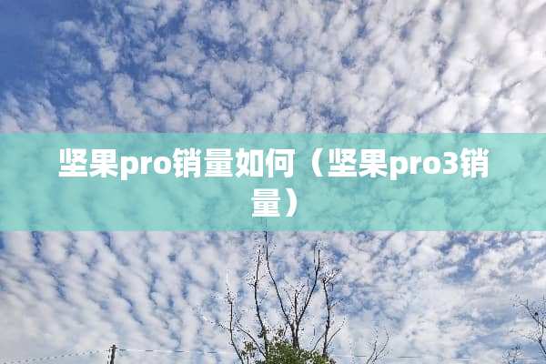 坚果pro销量如何(坚果pro3销量) 坚果pro销量如何(坚果pro3销量)