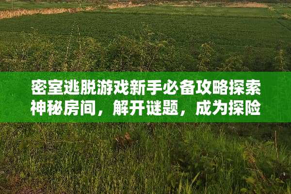 密室逃脱游戏新手必备攻略探索神秘房间，解开谜题，成为探险家！ 我要看密室游戏攻略