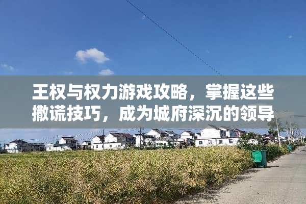 王权与权力游戏攻略，掌握这些撒谎技巧，成为城府深沉的领导者 王权权力的游戏攻略撒谎