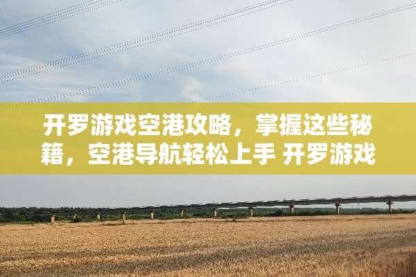 开罗游戏空港攻略，掌握这些秘籍，空港导航轻松上手 开罗游戏空港攻略