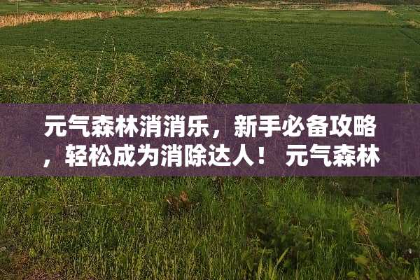 元气森林消消乐,新手必备攻略,轻松成为消除达人! 元气森林消消乐游戏攻略 元气森林消消乐,新手必备攻略,轻松成为消除达人! 元气森林消消乐游戏攻略